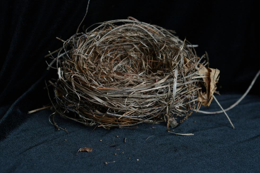 Nestbautrieb in der Schwangerschaft: Warum plötzlich alles vorbereitet werden muss