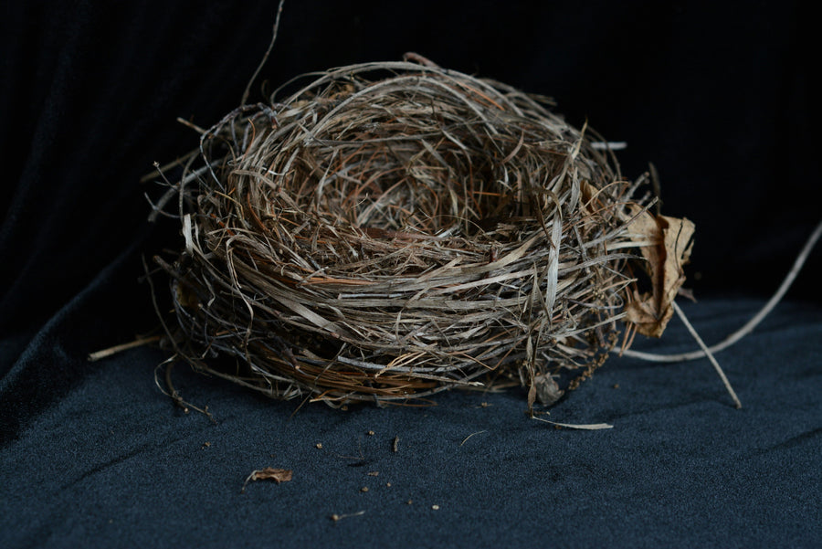 Nestbautrieb in der Schwangerschaft: Warum plötzlich alles vorbereitet werden muss